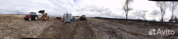 Расчистка 24/7, мульчирование от 1 Га, выкорчевка — фото 2